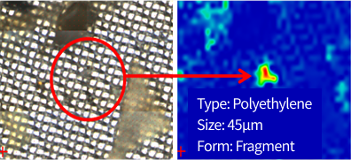 환경 시료 내 미세플라스틱 검출