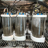 생붕괴 시험 재료 무게 측정