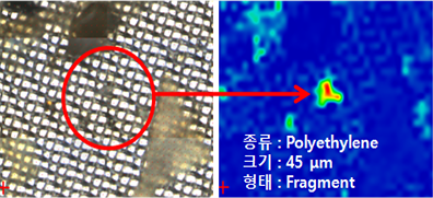 환경 시료 내 미세플라스틱 검출