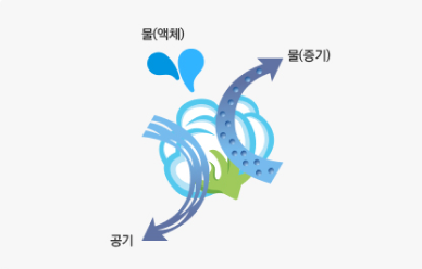 X-sweat 광발열 성능