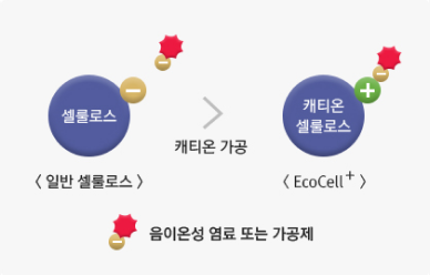 EcoCell+ 원리