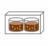 퇴비 혹은 토양(대조군) 생분해 후 퇴비 혹은토양에 씨앗 파종