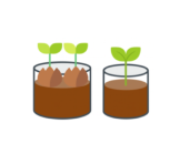 씨앗 발아율 (%) 측정